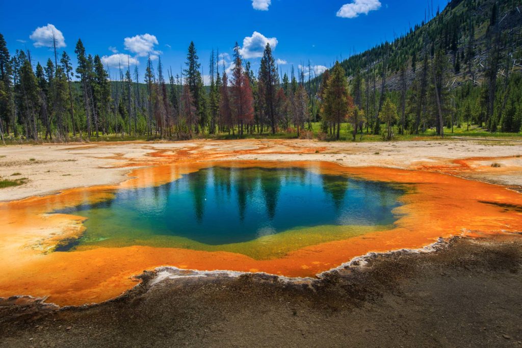 A vivid blue and orange hot spring surrounded by pine trees in Yellowstone's backcountry, one of the park's lesser-known geothermal features.
