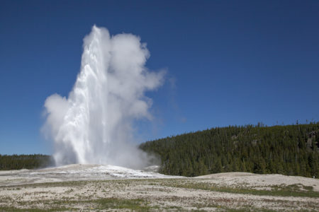 History & Little Known Facts About Old Faithful | BrushBuck Wildlife Tours