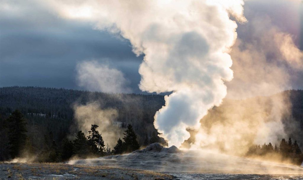 Steam rising from a geothermal basin in Yellowstone National Park, with the surrounding forest visible in the background.