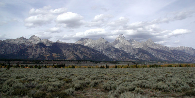 Top Sites to Visit in Grand Teton National Park | BrushBuck Wildlife Tours